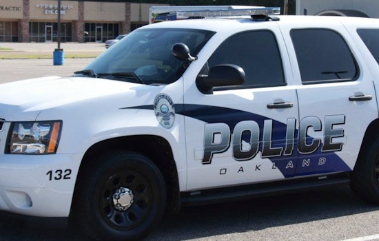 Oakland, Tennessee Police Urge Residents to Lock Cars Following Spree of Thefts