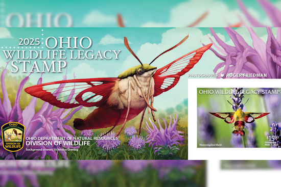 ODNR Unveils 2025 Ohio Wildlife Legacy Stamp Featuring Hummingbird Clearwing Moth to Aid Conservation Efforts