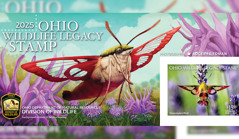 ODNR Unveils 2025 Ohio Wildlife Legacy Stamp Featuring Hummingbird Clearwing Moth to Aid Conservation Efforts