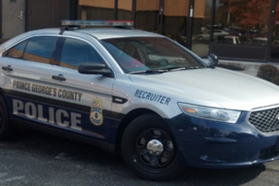 Officer Shoots Aggressive Dog, Man Injured in Attack in Prince George's County, Separate Crash Involving Police on Scene