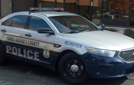 Officer Shoots Aggressive Dog, Man Injured in Attack in Prince George's County, Separate Crash Involving Police on Scene