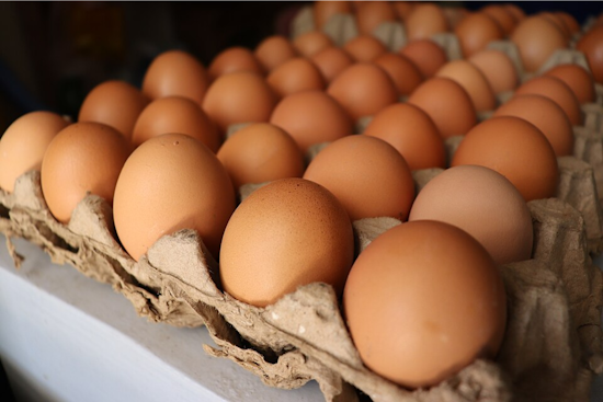 Ohioans Flock to Backyard Poultry Keeping Amid Egg Price Spike, OSU Extension Offers Certificate Course