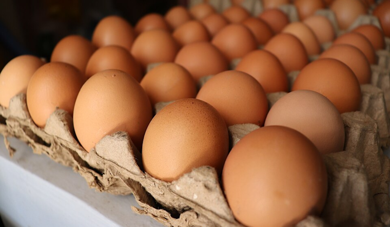 Ohioans Flock to Backyard Poultry Keeping Amid Egg Price Spike, OSU Extension Offers Certificate Course