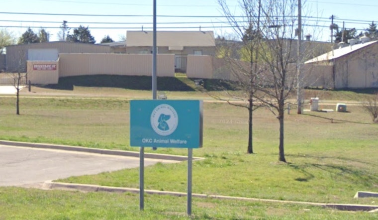 Oklahoma City Animal Welfare Champions Responsible Pet Ownership to Counter Pet Overpopulation Crisis