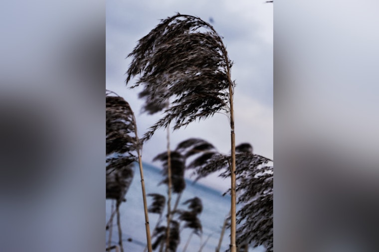 Oklahoma City Warned of Strong Winds with Gusts Up to 45 mph, Urging Residents to Secure Belongings