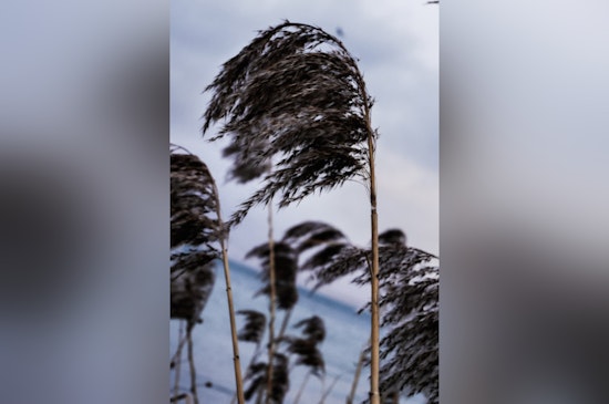 Oklahoma City Warned of Strong Winds with Gusts Up to 45 mph, Urging Residents to Secure Belongings