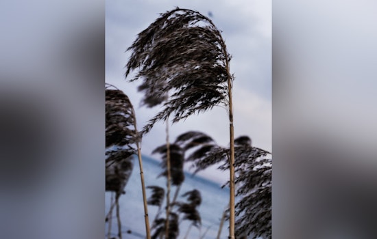 Oklahoma City Warned of Strong Winds with Gusts Up to 45 mph, Urging Residents to Secure Belongings