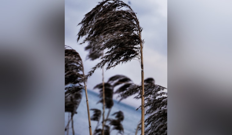 Oklahoma City Warned of Strong Winds with Gusts Up to 45 mph, Urging Residents to Secure Belongings