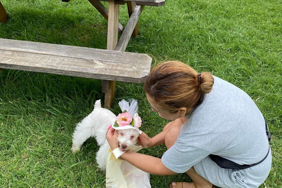 Opal Lawrence Historical Park Welcomes Pooches for Doggy Derby Day in Mesquite