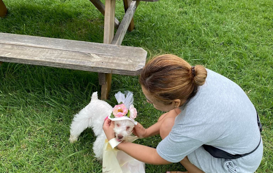 Opal Lawrence Historical Park Welcomes Pooches for Doggy Derby Day in Mesquite