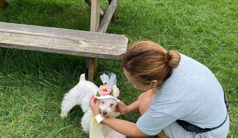 Opal Lawrence Historical Park Welcomes Pooches for Doggy Derby Day in Mesquite