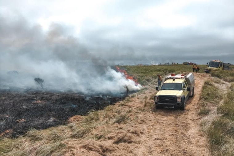 Oregon Bolsters Wildfire Response, $6M Grants to Hire 1,500 Seasonal Firefighters Across 200 Local Agencies