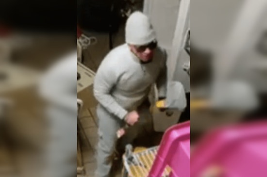 Ottawa County Sheriff's Office Seeks Public's Help to Identify Suspect in Allendale Township Burglaries