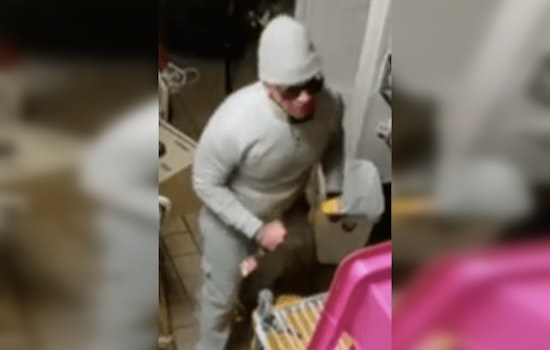 Ottawa County Sheriff's Office Seeks Public's Help to Identify Suspect in Allendale Township Burglaries