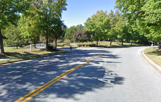 Owings Mills Couple Found Dead in Apparent Shooting, Police Probe Potential Self-Inflicted Wound