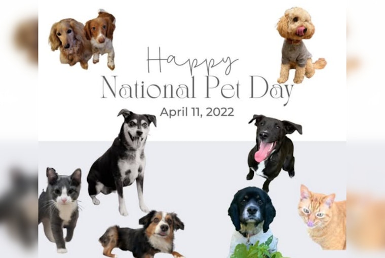 Ozaukee County Sheriff's Office Celebrates National Pet Day with Adorable Online Showcase of Staff Pets