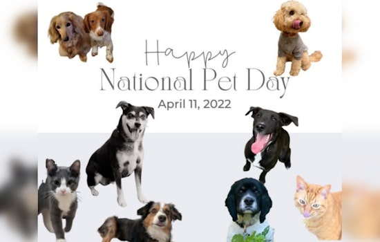 Ozaukee County Sheriff's Office Celebrates National Pet Day with Adorable Online Showcase of Staff Pets