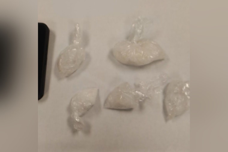Ozaukee County Traffic Stop Leads to Major Meth and Fentanyl Bust, Driver Faces Serious Charges