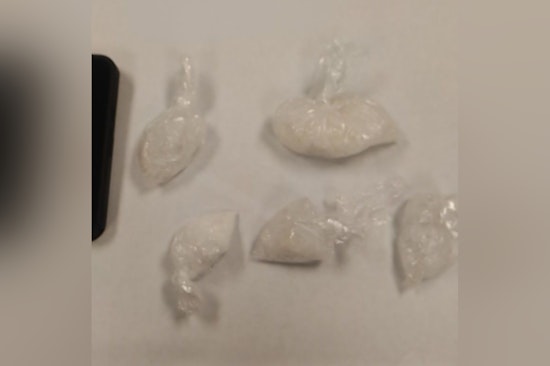 Ozaukee County Traffic Stop Leads to Major Meth and Fentanyl Bust, Driver Faces Serious Charges