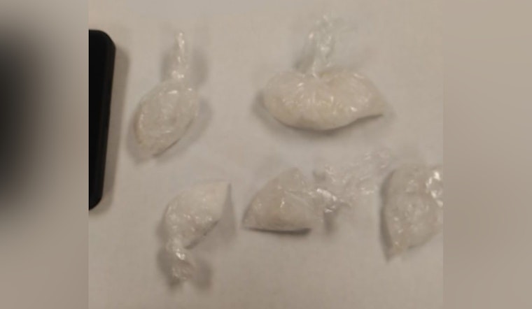 Ozaukee County Traffic Stop Leads to Major Meth and Fentanyl Bust, Driver Faces Serious Charges