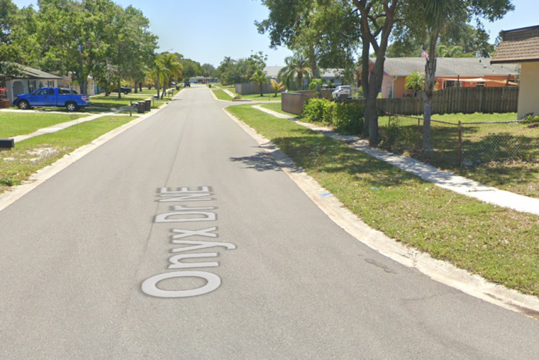 Palm Bay Police Cruiser Ignites Brush Fire Leading to Home Evacuations Near Onyx Drive
