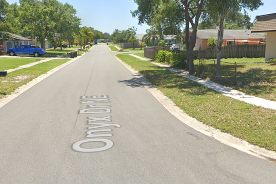 Palm Bay Police Cruiser Ignites Brush Fire Leading to Home Evacuations Near Onyx Drive