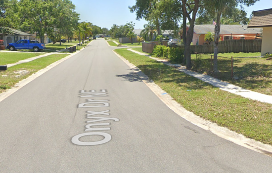 Palm Bay Police Cruiser Ignites Brush Fire Leading to Home Evacuations Near Onyx Drive