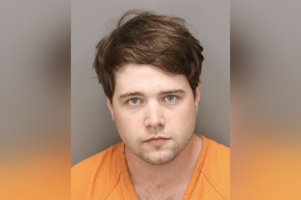 Palm Harbor Man Charged with Child Pornography Possession and Transmission