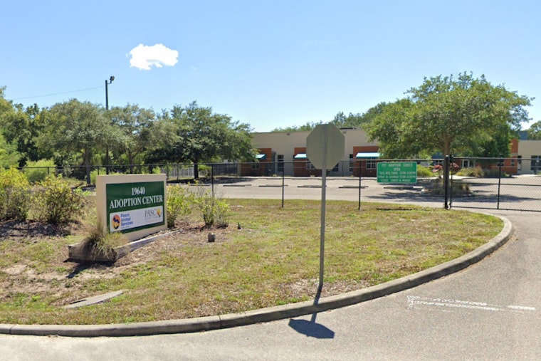 Pasco County Animal Services Suspends Dog Services Amid Canine Pneumovirus Outbreak