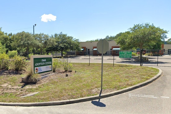 Pasco County Animal Services Suspends Dog Services Amid Canine Pneumovirus Outbreak