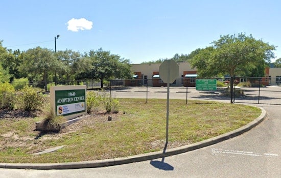 Pasco County Animal Services Suspends Dog Services Amid Canine Pneumovirus Outbreak