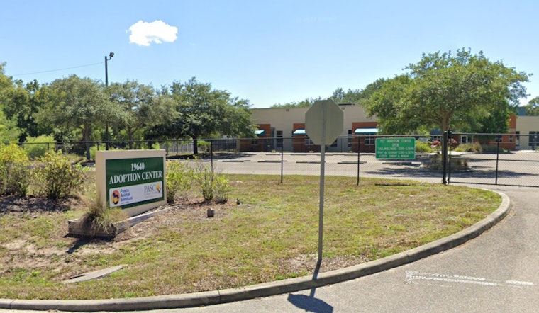 Pasco County Animal Services Suspends Dog Services Amid Canine Pneumovirus Outbreak