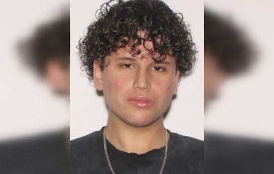 Pasco Sheriff's Office Seeks Help to Locate Missing Teen Angelos Shinouda in Odessa