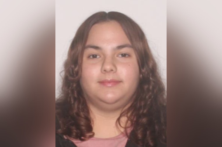 Pasco Sheriff's Office Seeks Public Assistance in Locating Missing Teen Amanda Sanchez-Hernandez in Holiday