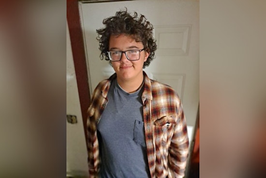Pasco Sheriff's Office Seeks Public Help to Locate Runaway Teen Ayden McNiff in Hudson