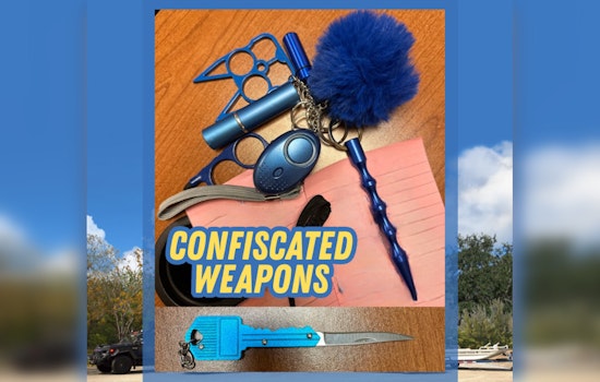 Pembroke Pines Police Arrest Two Renaissance Charter School Students for Carrying Weapons on Campus