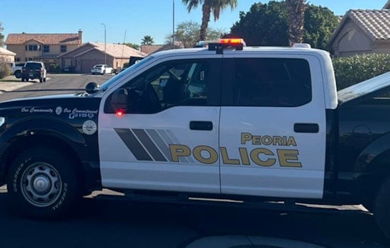 Peoria Family Devastated as Chihuahua Allegedly Killed by Neighbor, Police Investigating Possible Animal Cruelty