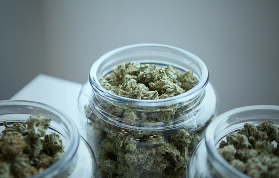 Phoenix Dispensaries Eye Boost in Sales with 4/20 Easter Promotions Amid Industry Downturn