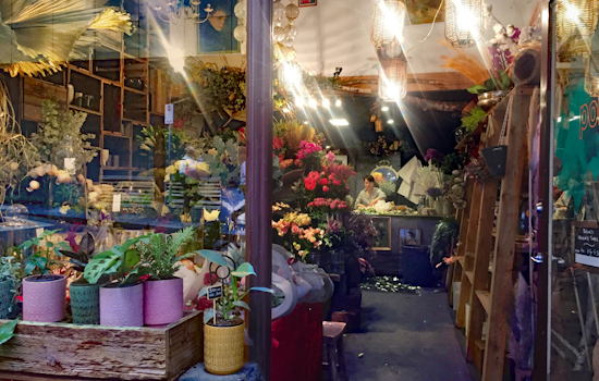 Phoenix Florists Brace for Impact of Tariffs During Peak Mother's Day and Prom Season