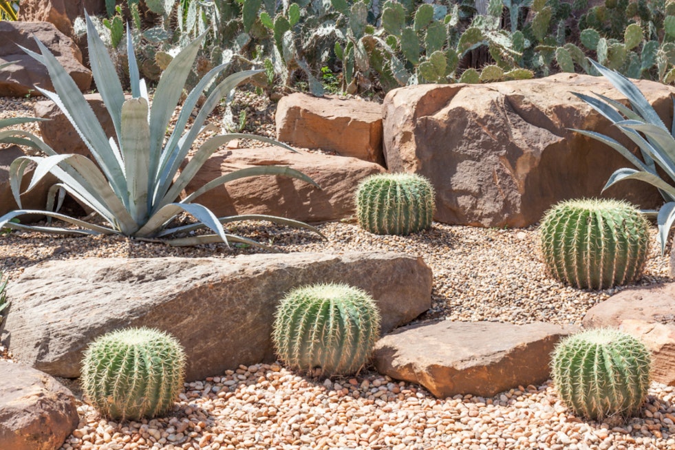 Phoenix Water Services Department Fuels Environmental Projects with $5,000 Grants through Love Your Block Program