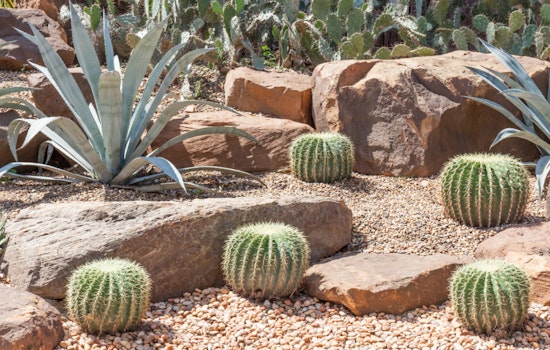 Phoenix Water Services Department Fuels Environmental Projects with $5,000 Grants through Love Your Block Program