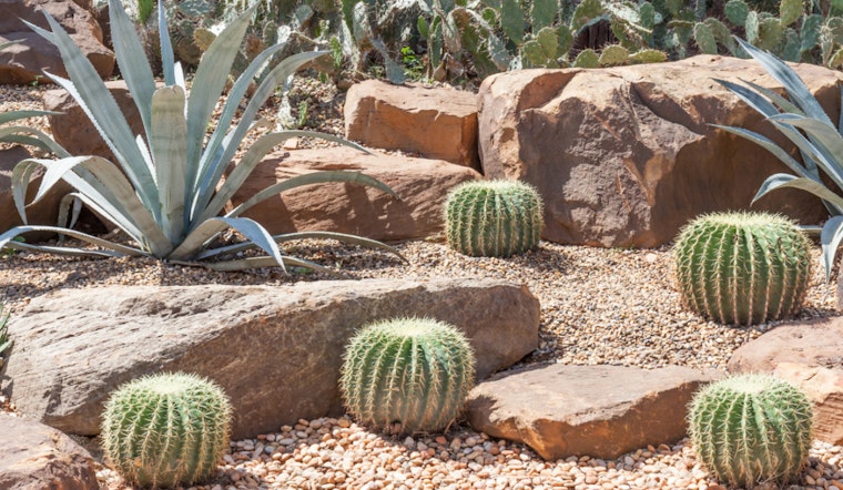 Phoenix Water Services Department Fuels Environmental Projects with $5,000 Grants through Love Your Block Program