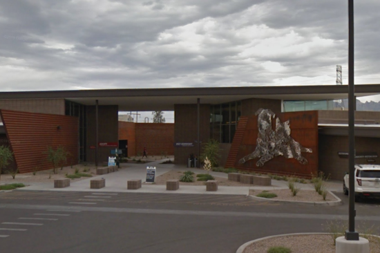 Pima Animal Care Center Appeals for Community Aid Amid Stray Dog Crisis in Tucson