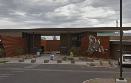 Pima Animal Care Center Appeals for Community Aid Amid Stray Dog Crisis in Tucson