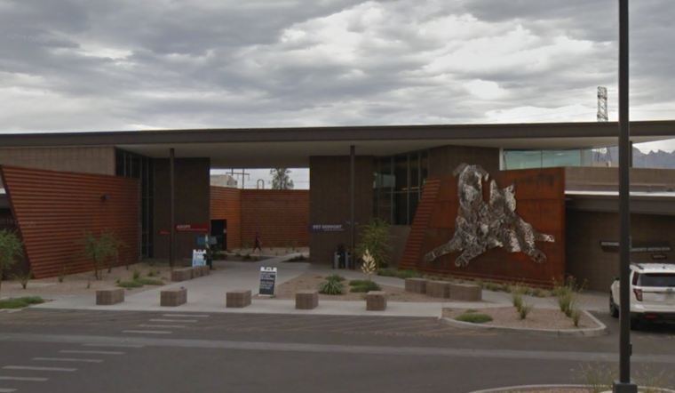Pima Animal Care Center Appeals for Community Aid Amid Stray Dog Crisis in Tucson