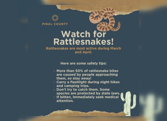 Pinal County Issues Springtime Rattlesnake Safety Advisory to Hikers and Campers