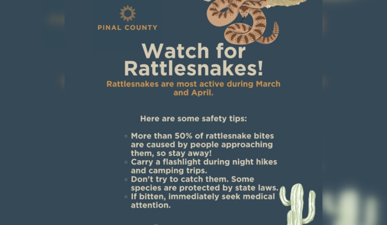 Pinal County Issues Springtime Rattlesnake Safety Advisory to Hikers and Campers