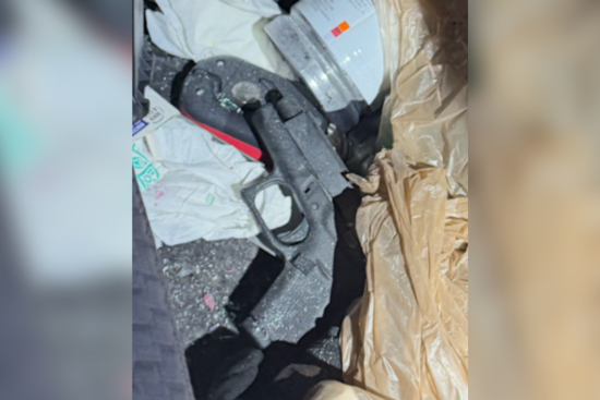 Pinellas County Deputies Shoot Woman After Bizarre Chase, 7 Officers on Administrative Leave
