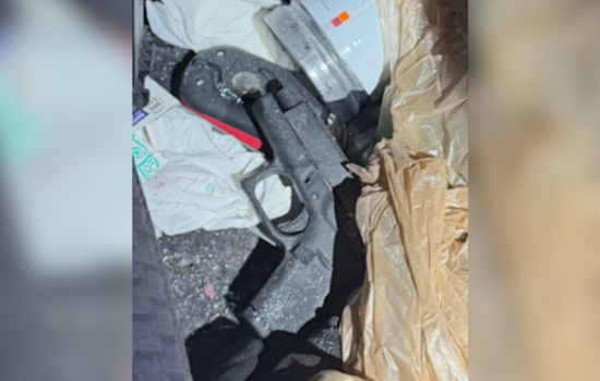 Pinellas County Deputies Shoot Woman After Bizarre Chase, 7 Officers on Administrative Leave