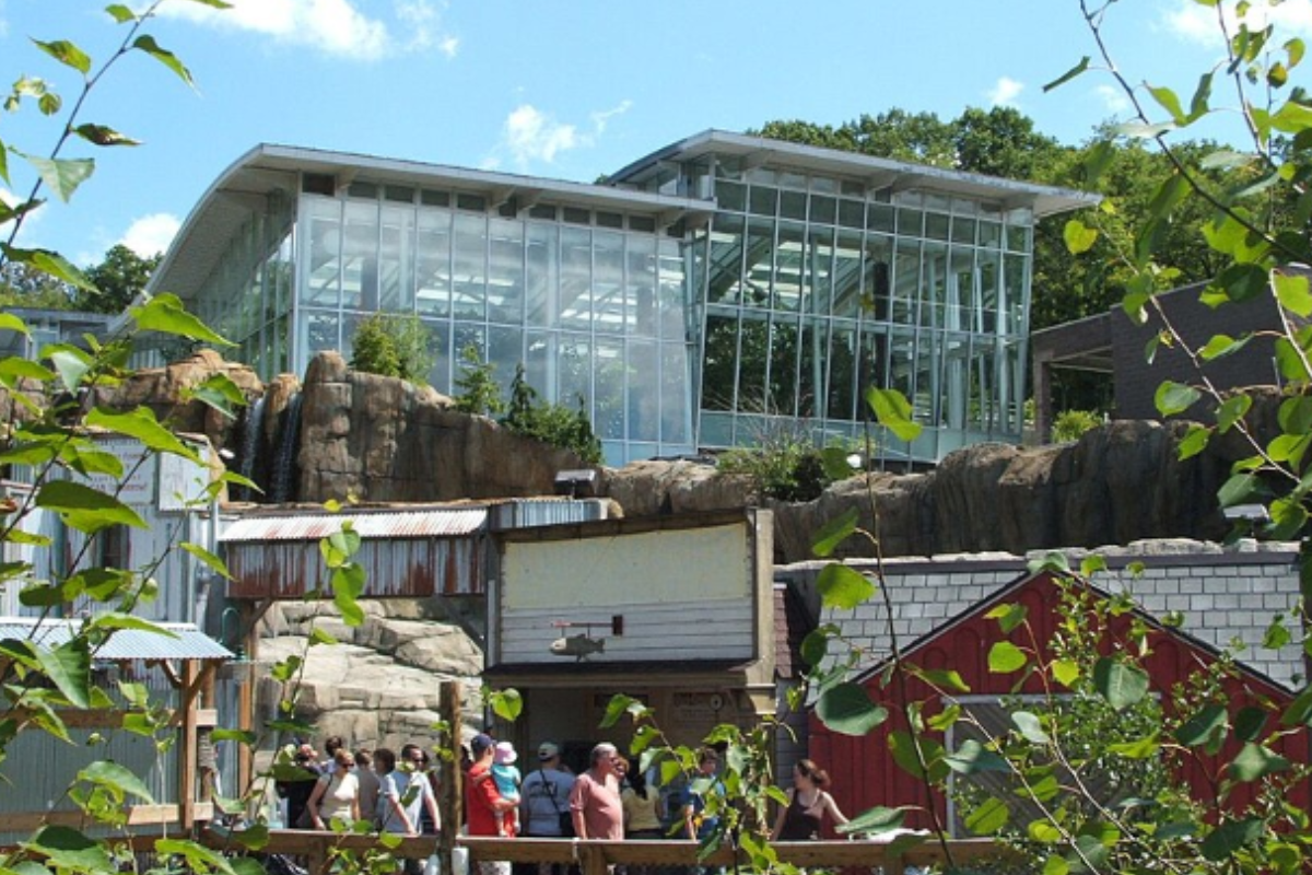 Pittsburgh Zoo to Debut 'Ice Age: Frozen in Time' Exhibit Featuring